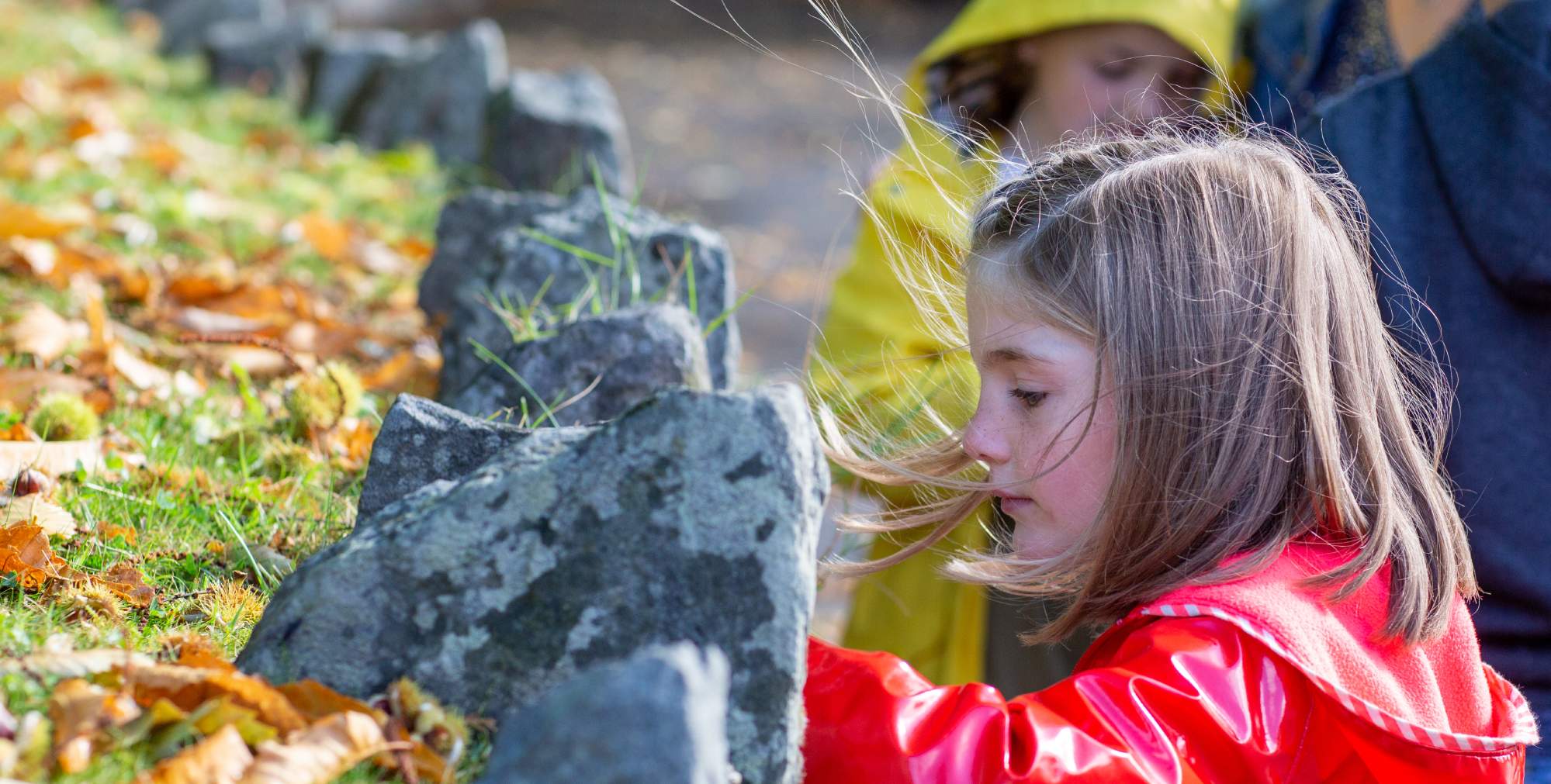A young girl in the park